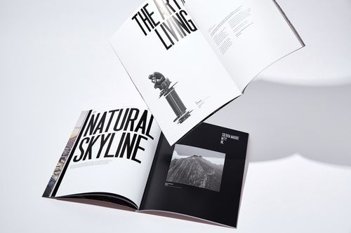 平面設(shè)計(jì)在Balzac房地產(chǎn)品牌形象塑造中的關(guān)鍵作用