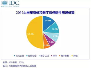 2019年上半年中國IT安全軟件市場洞察 網絡與信息安全軟件開發廠商收入達4.82億美元